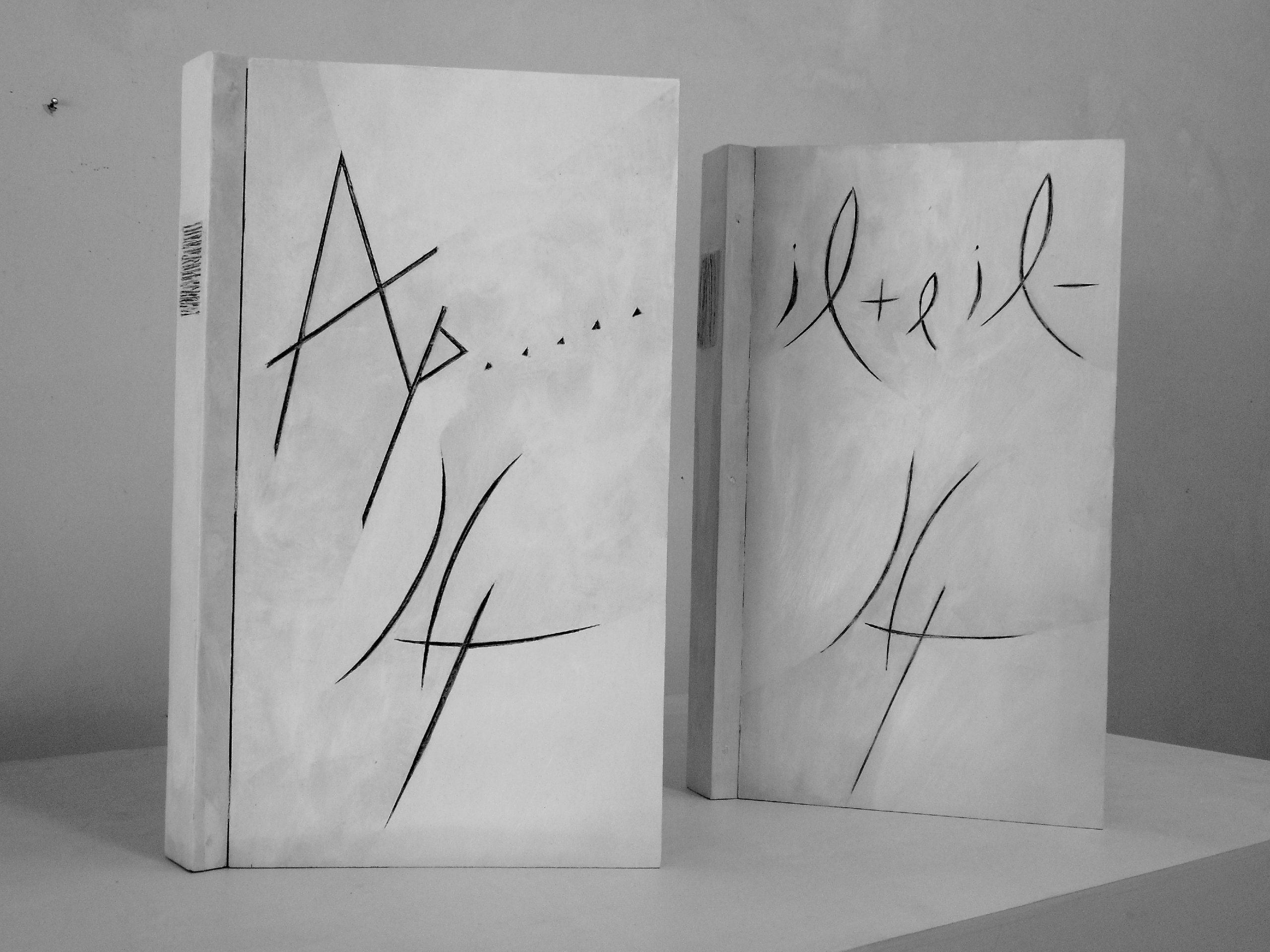 Appunti e Il + e il - Paolo di Capua